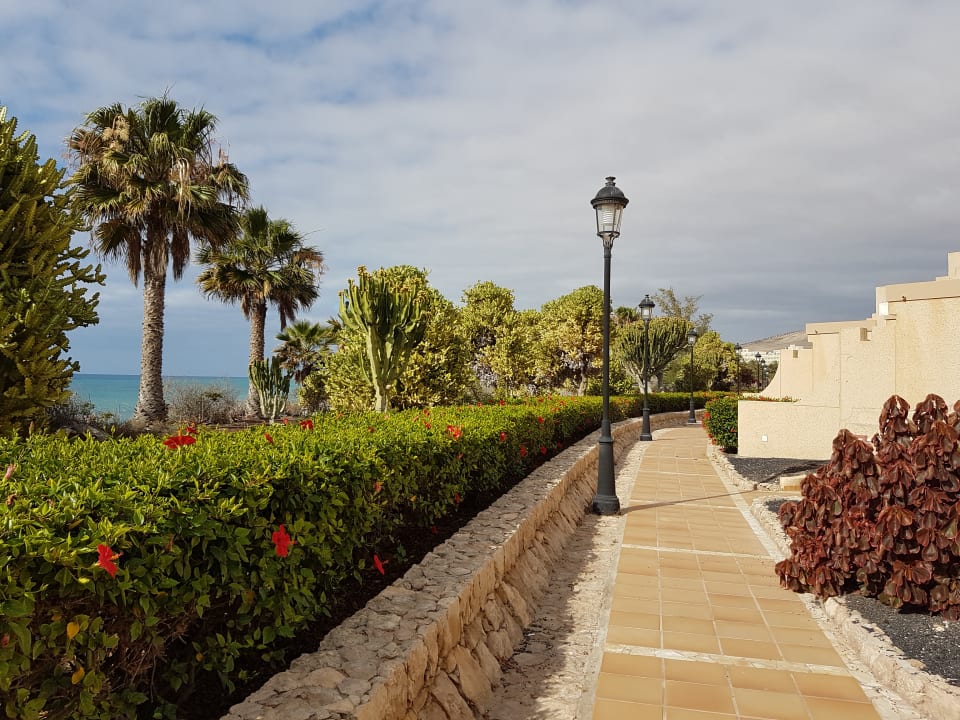 Ausblick SBH Hotel Taro Beach