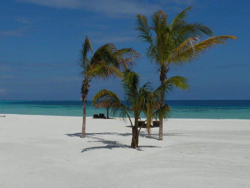 Ausblick vom Steg der Watervillas auf den Strand Constance Moofushi Maldives