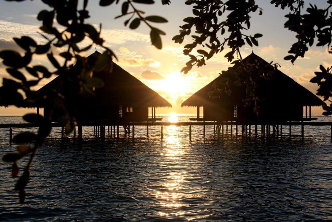 Wasserbungalows Adaaran Club Rannalhi - All Inclusive