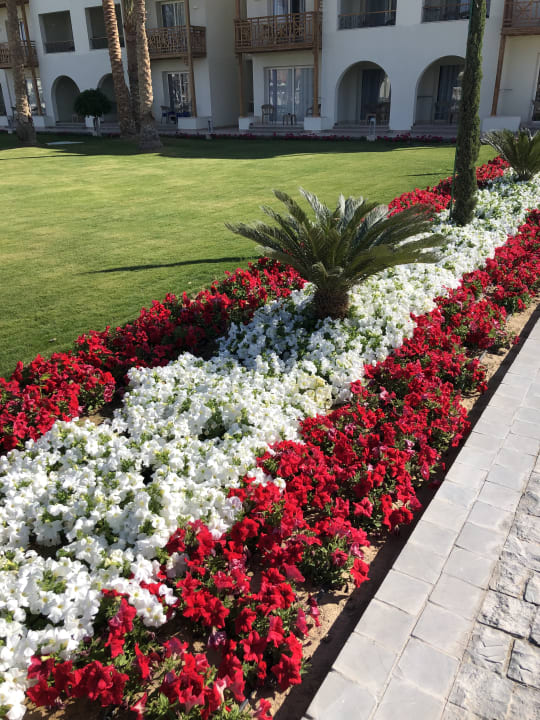 Gartenanlage Pickalbatros Dana Beach Resort - Hurghada