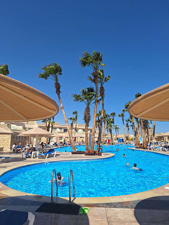 Pool Pickalbatros Citadel Resort