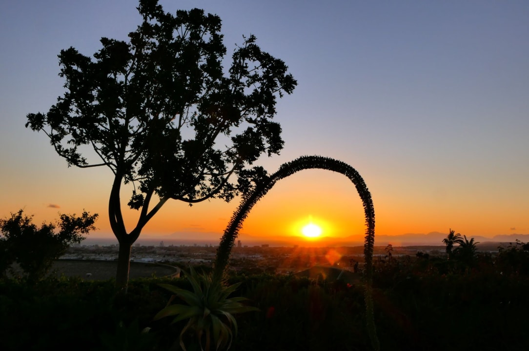 Ausblick Bed & Breakfast Somerset Sights