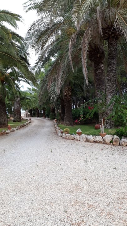Gartenanlage Finca Ses Sitjoles