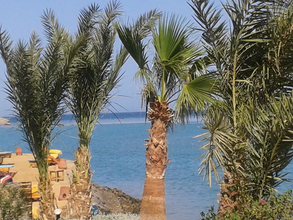 Blick von der Terrasse Hotel Three Corners Ocean View prestige - Adults only