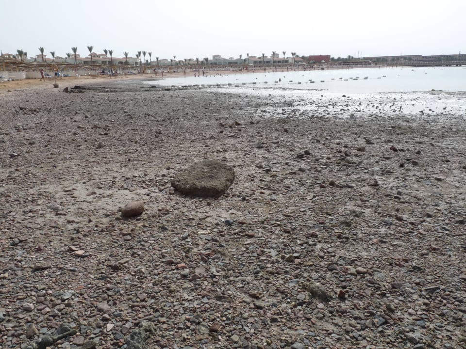 Strand bei Ebbe , ca17.00Uhr Pickalbatros Dana Beach Resort - Hurghada