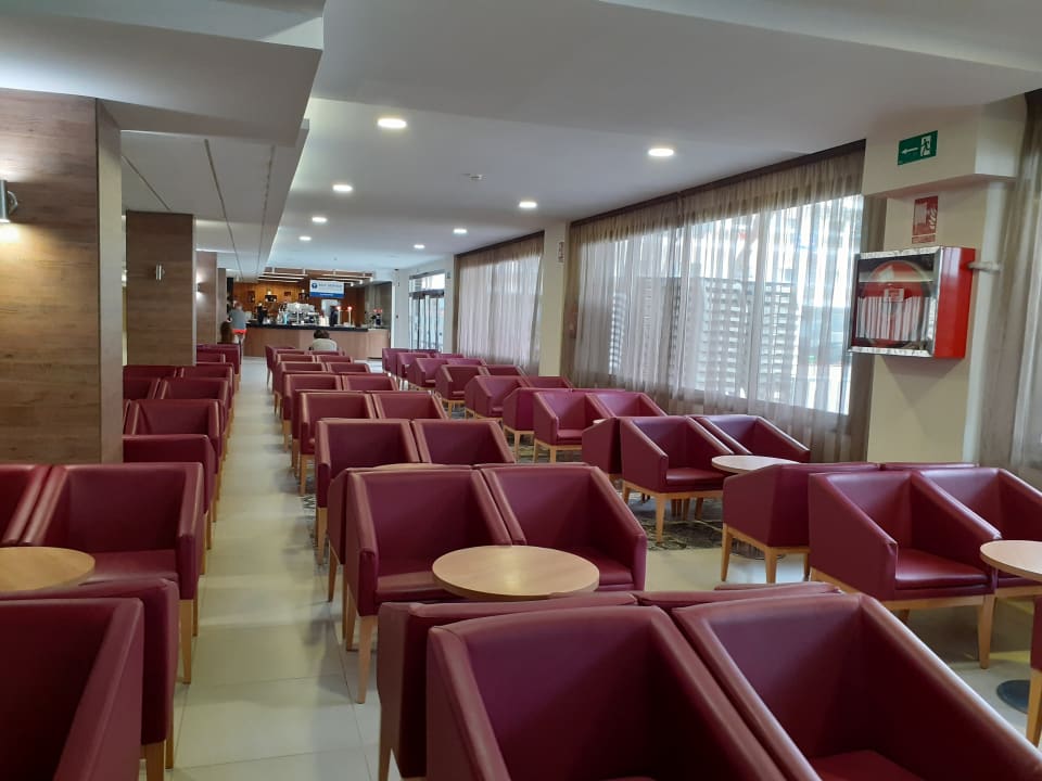 Gastro Hotel Best Oasis Park