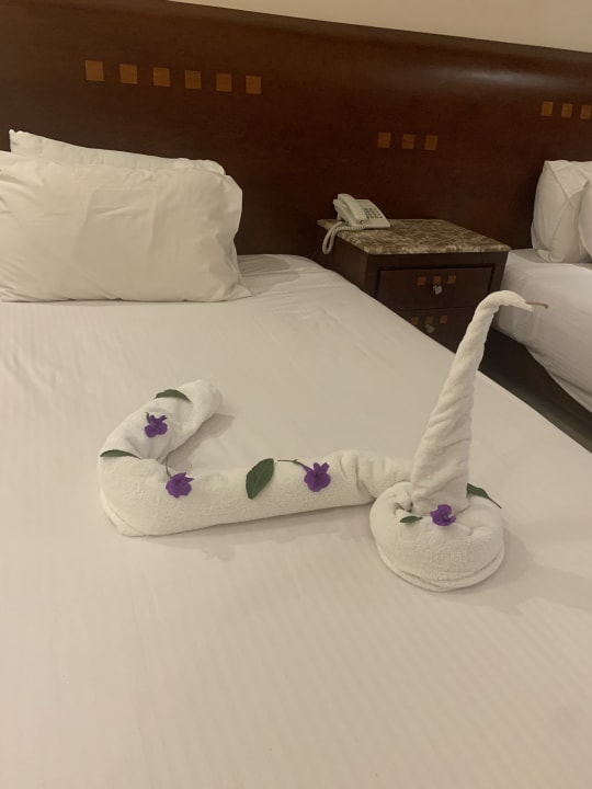 Zimmer Shams Prestige Abu Soma-Adults Only