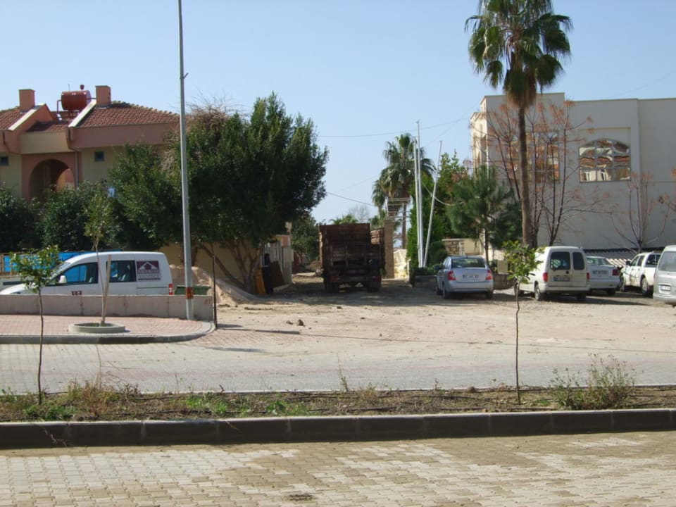 Total entkernt Dream Family Club