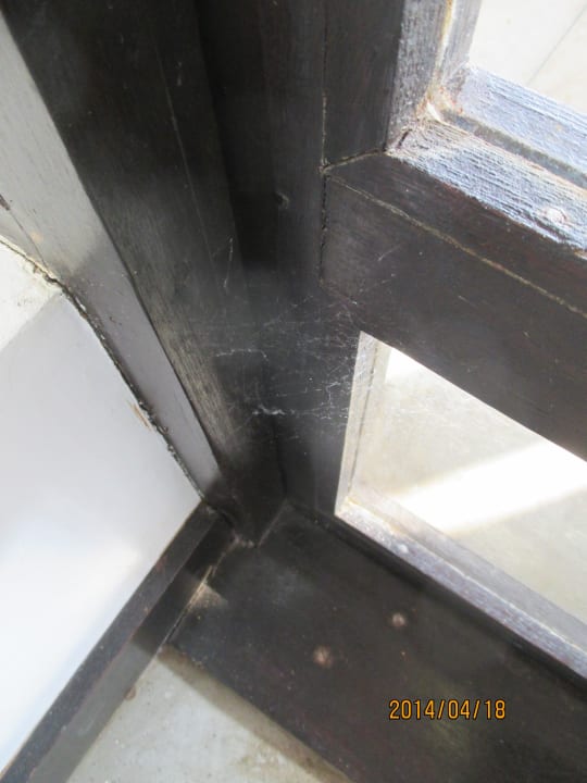 Geputzt?! Tz. Earl’s Reef Beruwala