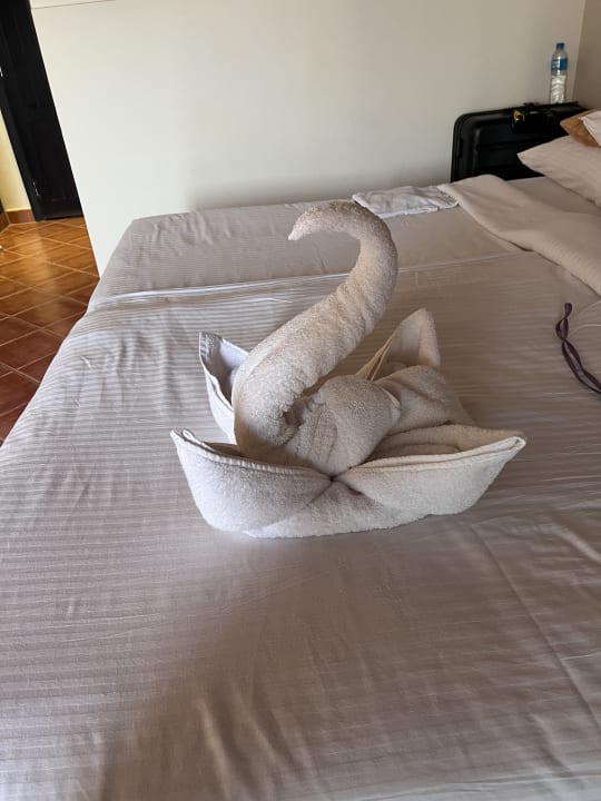 Zimmer Three Corners Sea Beach Resort