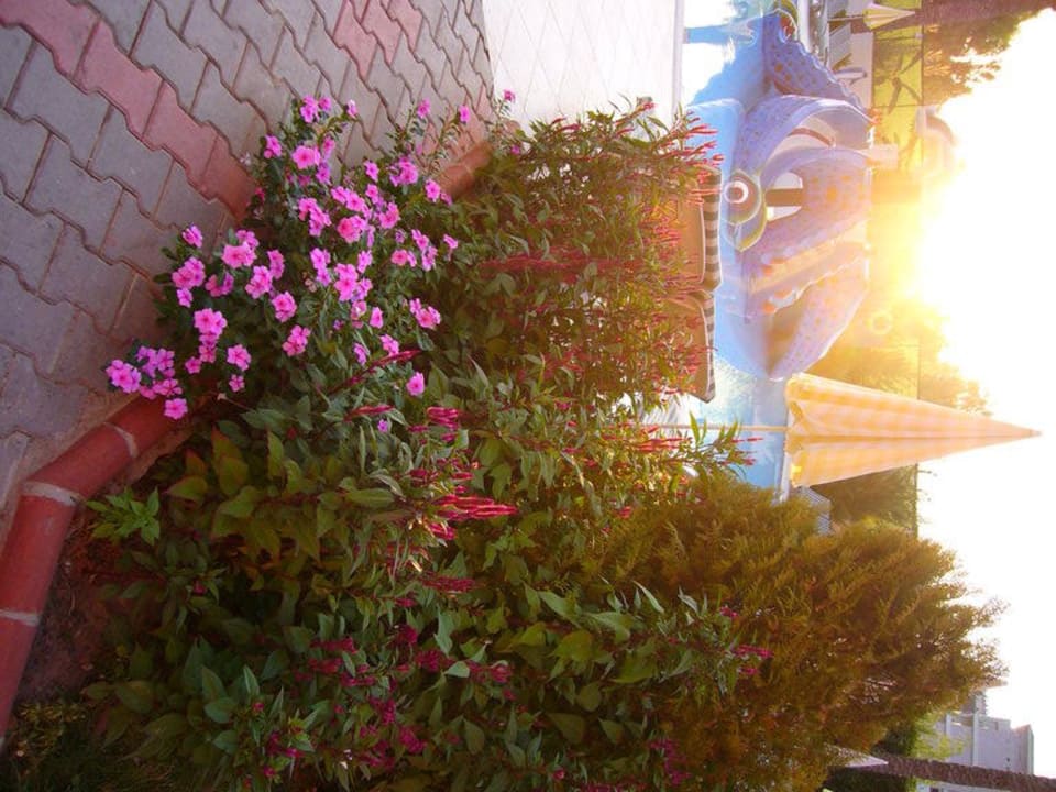Blumen wohin man sieht Hotel Royal Garden Beach