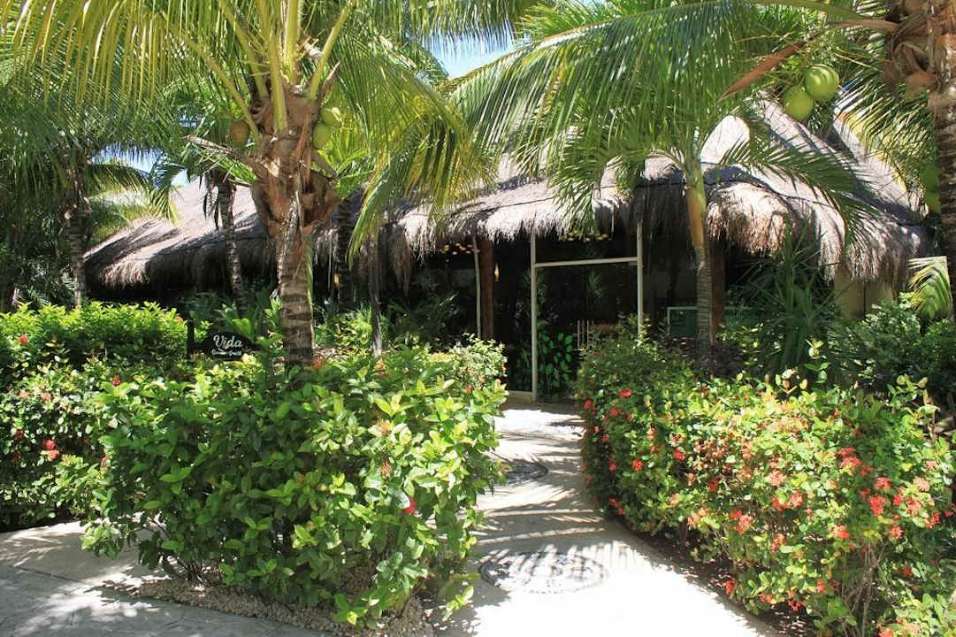 Restaurant Vida Garden (Internationale Küche) TUI BLUE El Dorado Seaside Suites