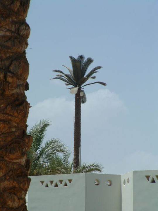Die schönsten Funkmasten die ich je gesehen habe. Ghazala Gardens