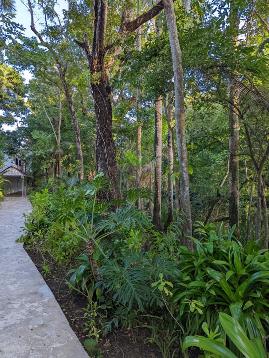 Gartenanlage Viva Heavens by Wyndham - All Inclusive Resort