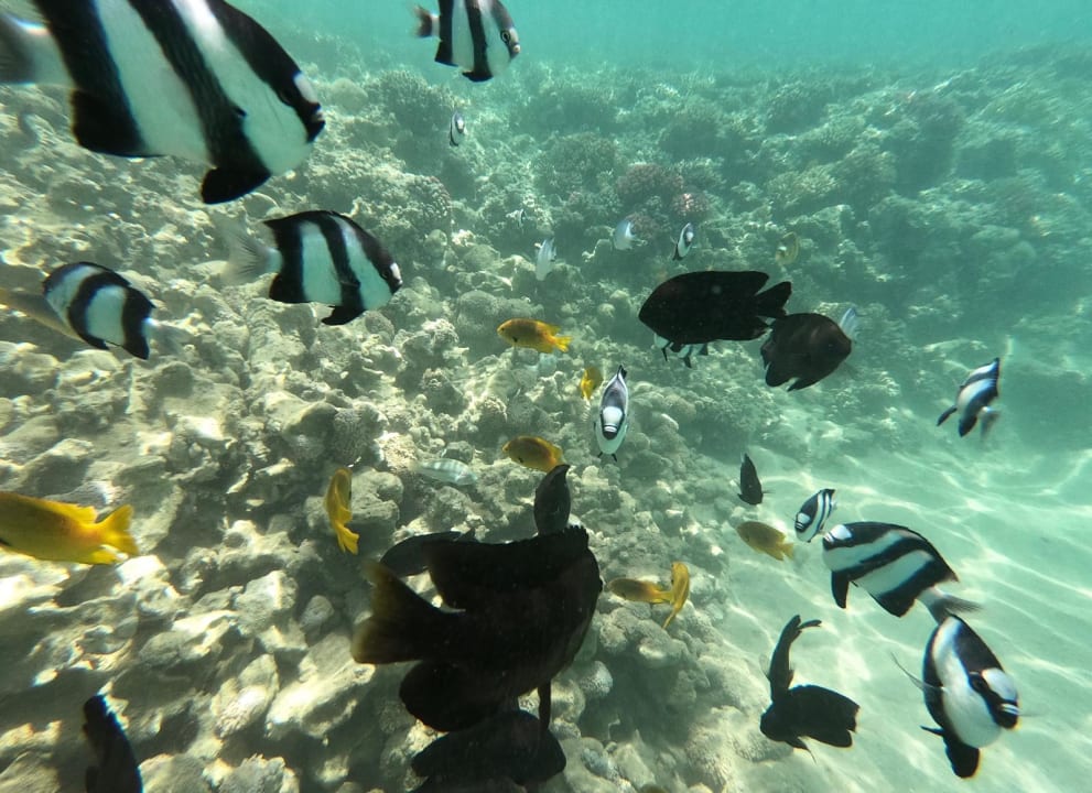 Sport & Freizeit Cleopatra Luxury Resort Makadi Bay