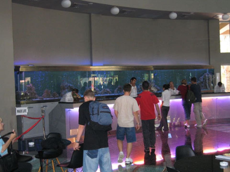 Magig Life Waterworld Ressort Asteria Family Belek