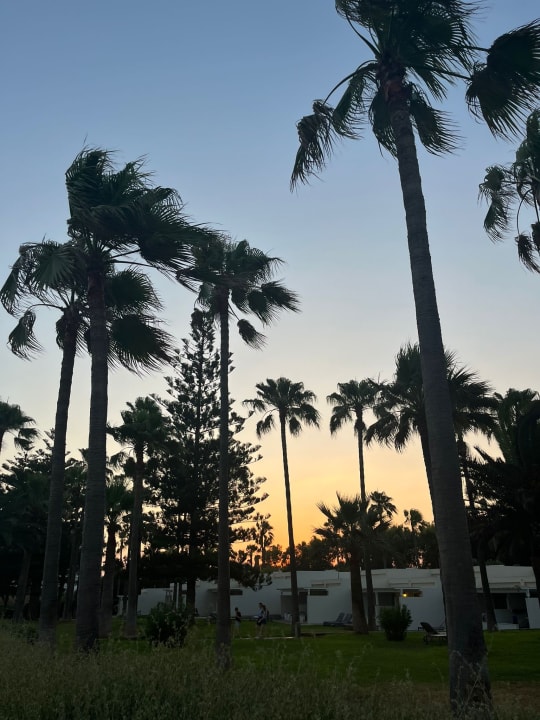 Gartenanlage Hotel Nissi Beach Resort