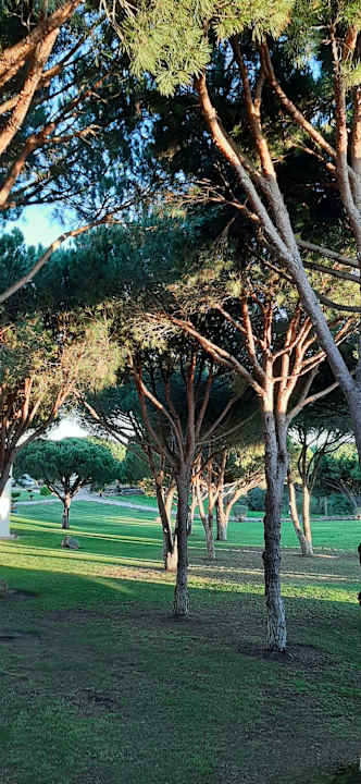 Ausblick AP Adriana Beach Resort