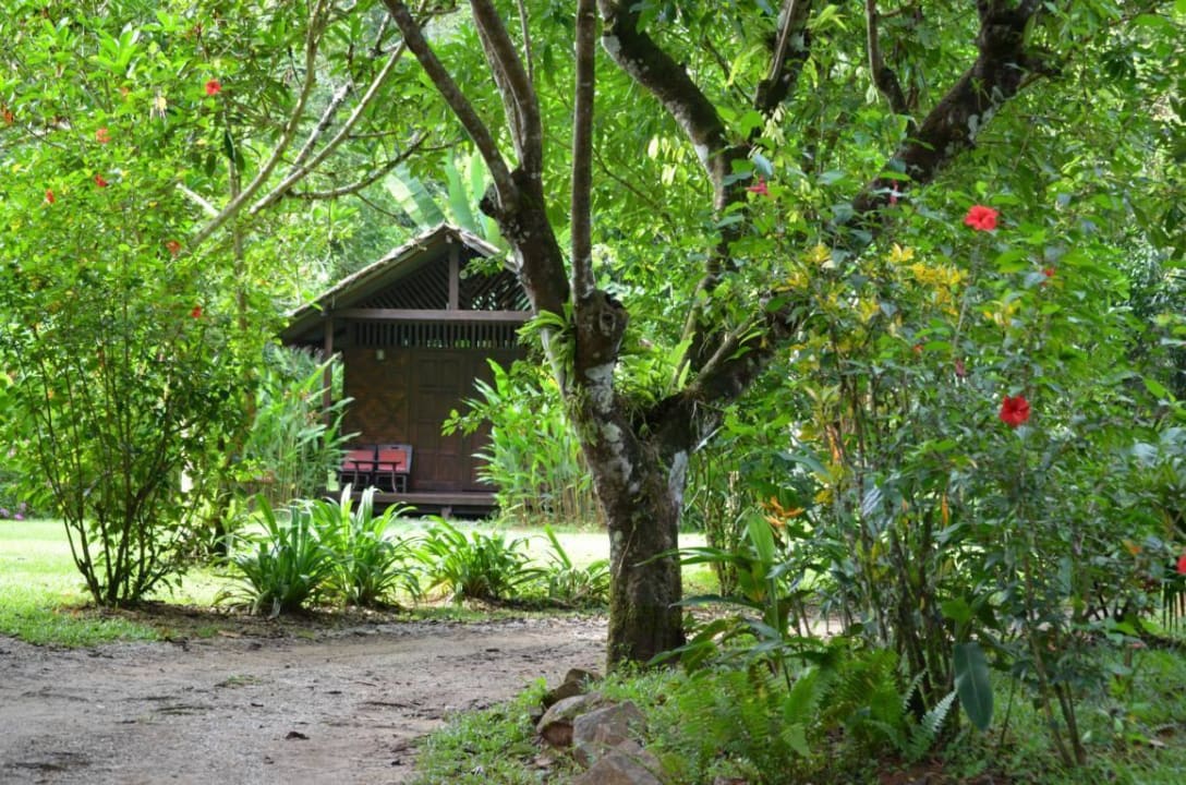 Gartenanlage Our Jungle House