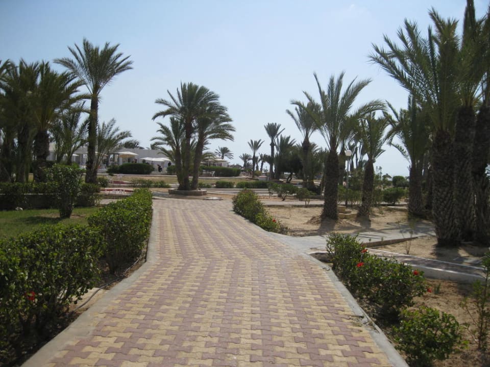 Schöne Gartenanlage Hotel El Mouradi Djerba Menzel