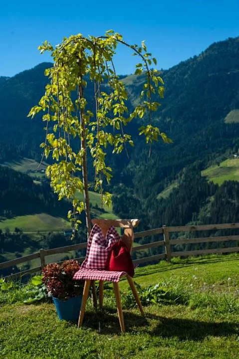 Baum Bauernhaus Bichl