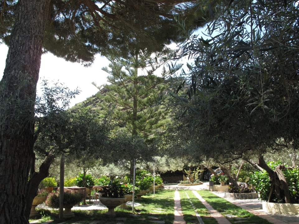 Garten Hotel Cala Joncols