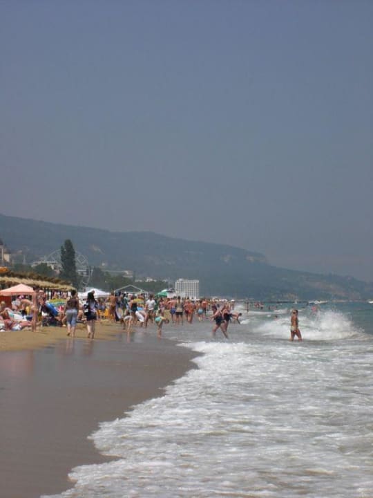 Goldstrand Elena Hotel