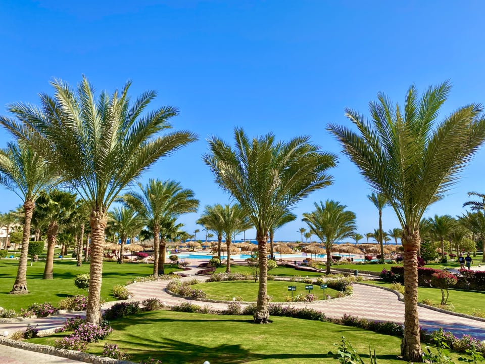 Gartenanlage Three Corners Sea Beach Resort