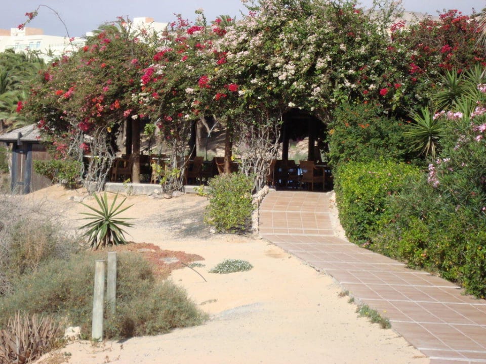 Beachbar mit Strandblick SBH Hotel Taro Beach