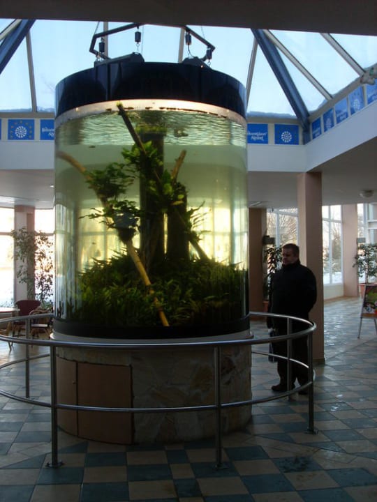 Galerie Ferienwohnungen Ferienpark Weissenhäuser Strand