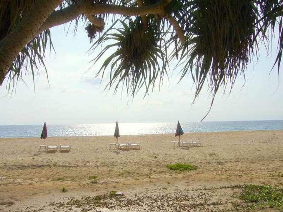 Nai Thon Beach Phuket Lotus Lodge