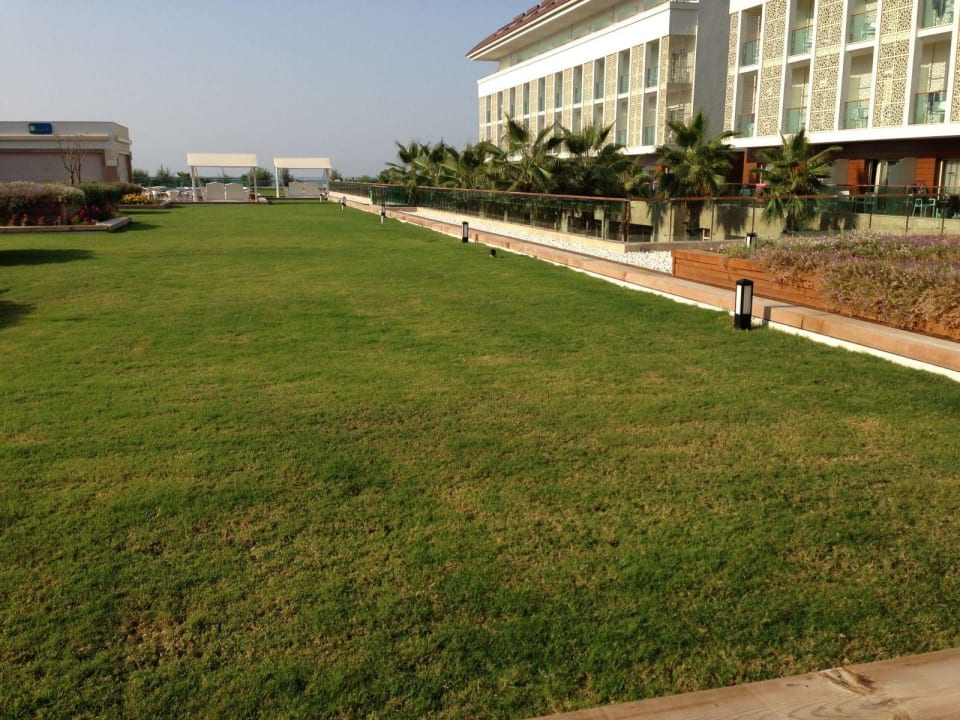 Dachterrasse Sentido Trendy Verbena Beach