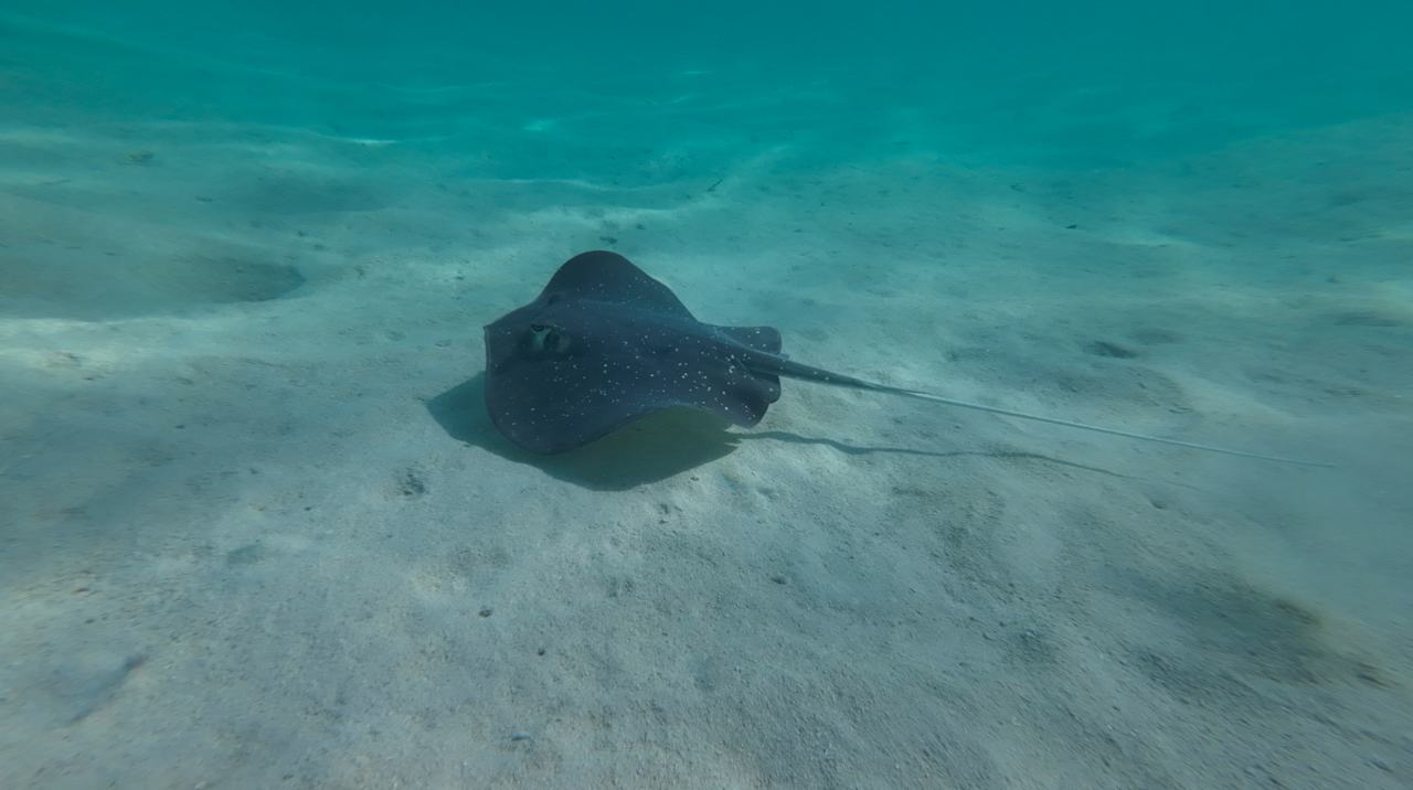 Sonstiges Jawakara Islands Maldives