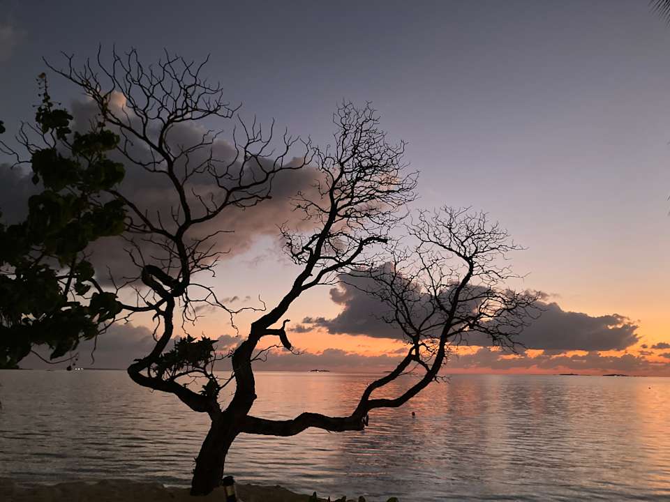 Ausblick Vilamendhoo Island Resort & Spa