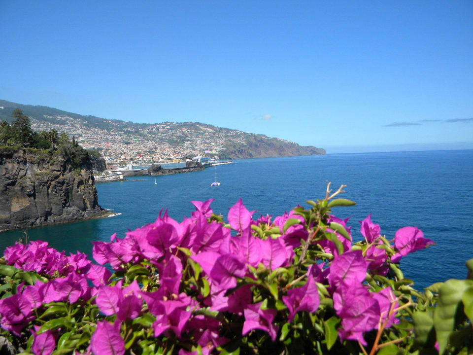 Blumen zum Sattsehen Hotel The Cliff Bay (PortoBay)