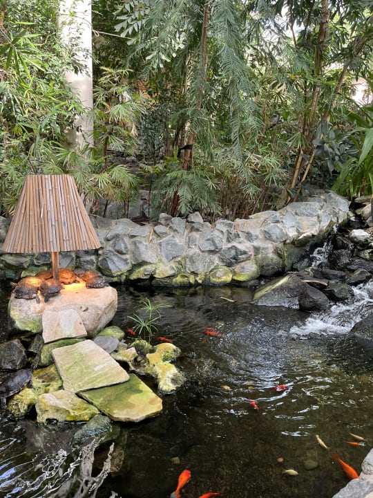 Gartenanlage Center Parcs Park Hochsauerland