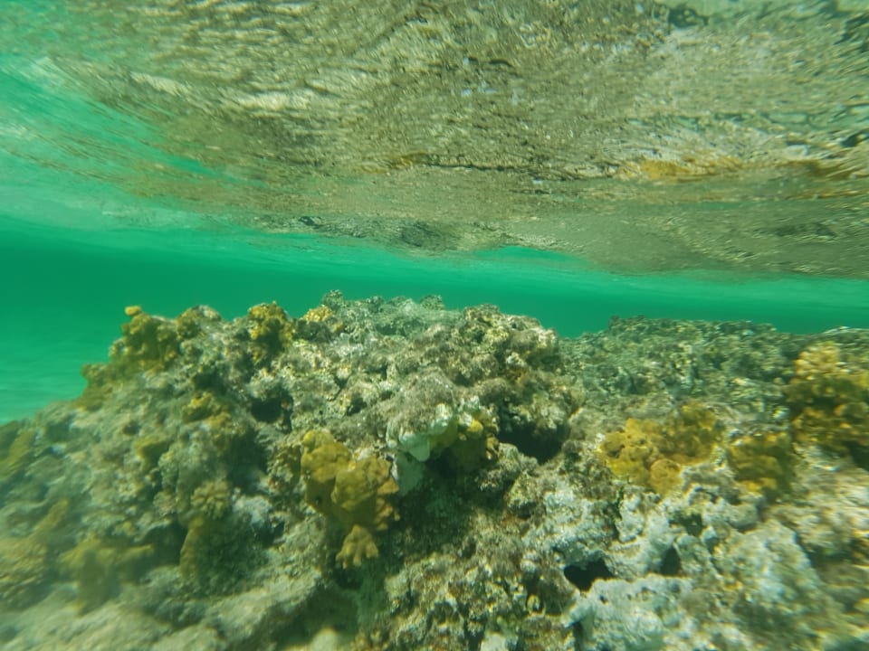 Strand Three Corners Fayrouz Plaza Beach Resort