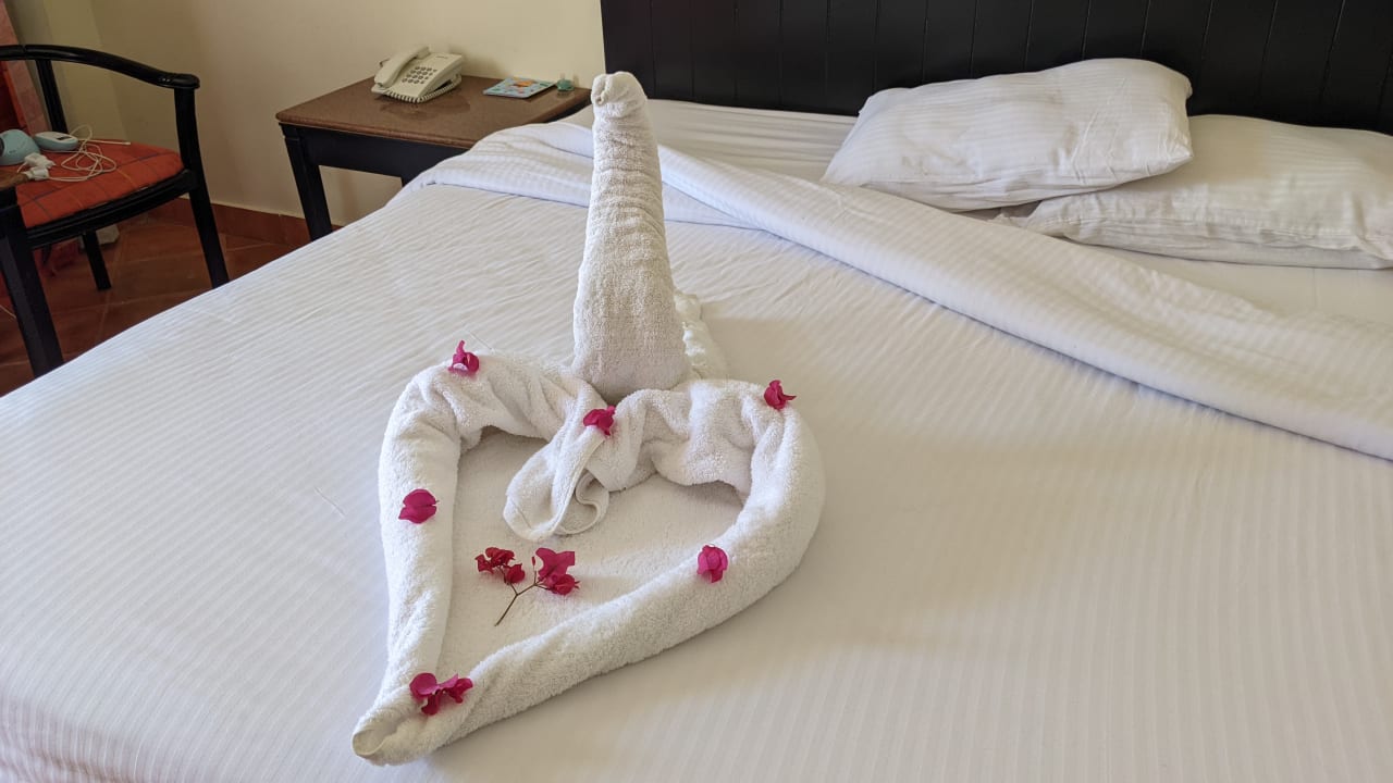 Zimmer Three Corners Sea Beach Resort