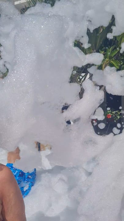 Pool FERGUS Style Bahamas