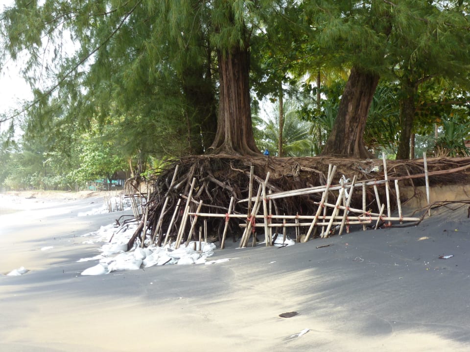 Das Meer holt sich sein Land zurück Khaolak Laguna Resort