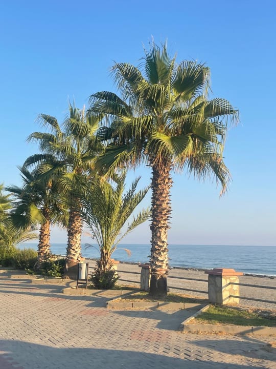 Ausblick Labranda Alantur Resort