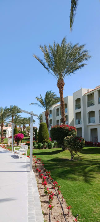 Gartenanlage Pickalbatros Dana Beach Resort - Hurghada