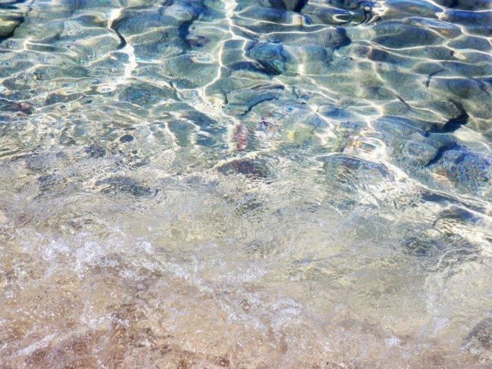 Sauberes Wasser allsun Hotel Carolina Mare