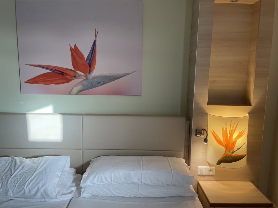 Zimmer Bull Costa Canaria & Spa - Adults only