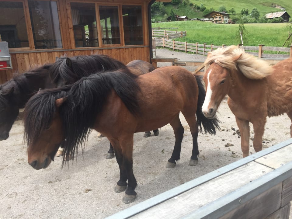 Sport & Freizeit Familien Natur Resort Moar Gut
