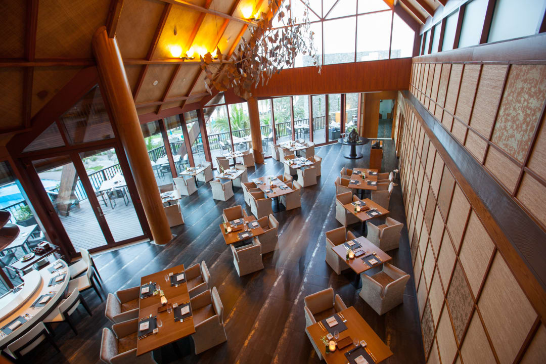 Gastro JA Palm Tree Court