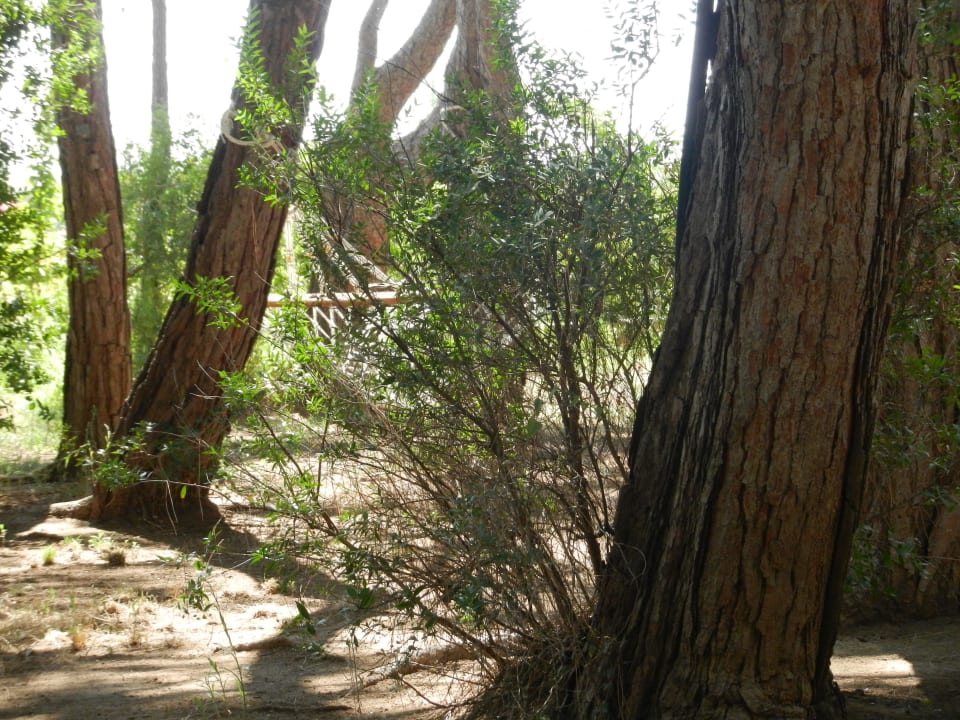 Xanadu  Xanadu Resort Hotel