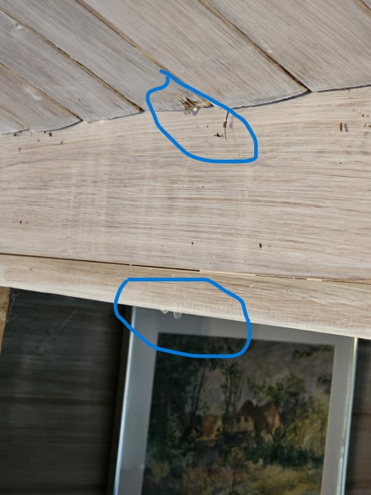 Lobby Novasol Ferienhaus Jegum Fyrrelunden