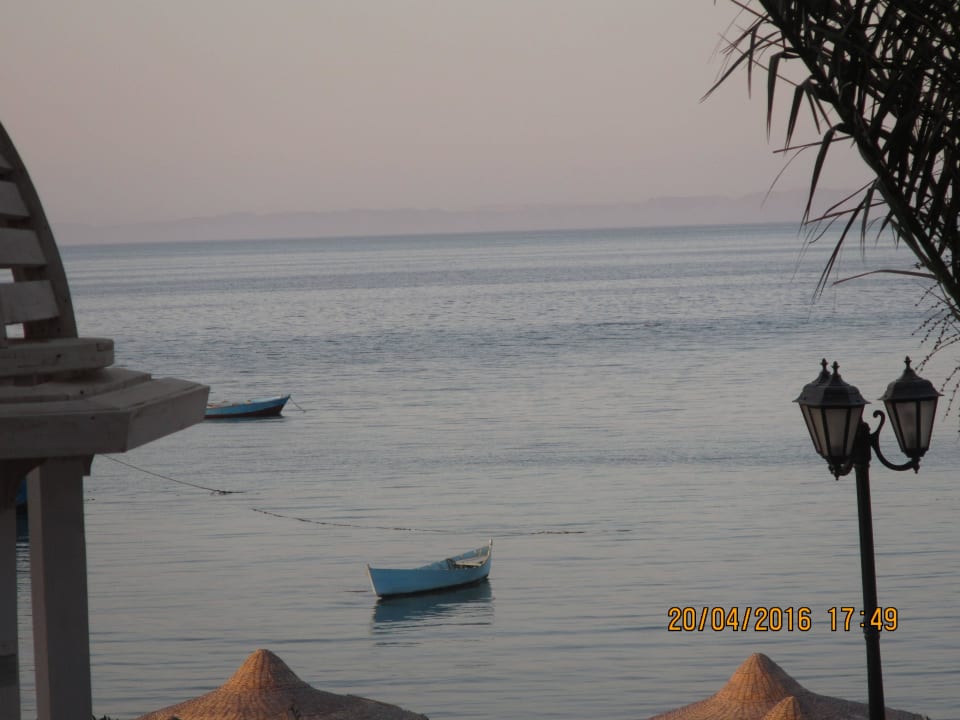 Vom Fenster Royal Star Beach Resort