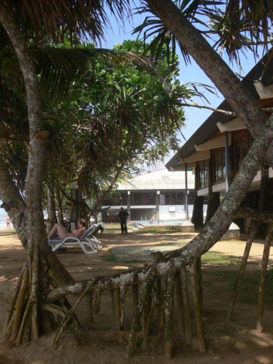 Blick von der Liege in Richtung Pool Hotel Koggala Beach
